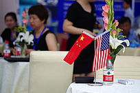 ����Ͷ������չ��