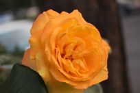 ��ɫ�¼���