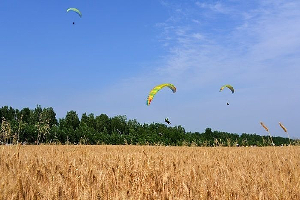 �����Ͽյ�ɡ��