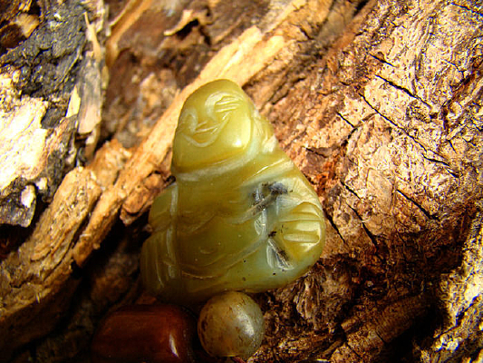 ľ������շ�