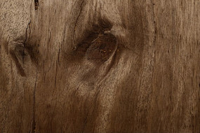 ľ������