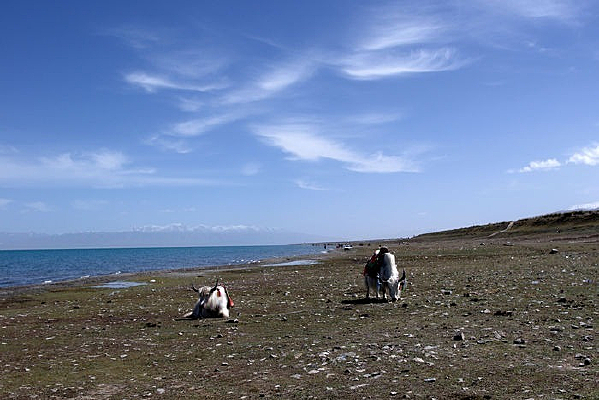 ����ţ�ຣ��