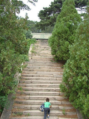 �����еĽ���