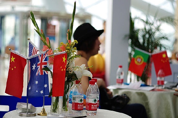 Ͷ������