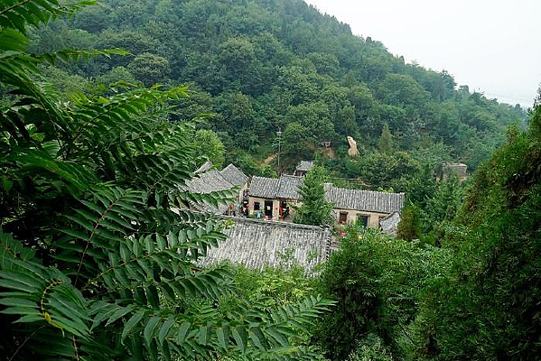 ��Ժ����