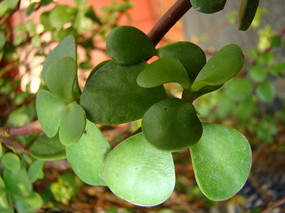 ���Ľ�ʵ��������