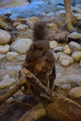 ����걾����