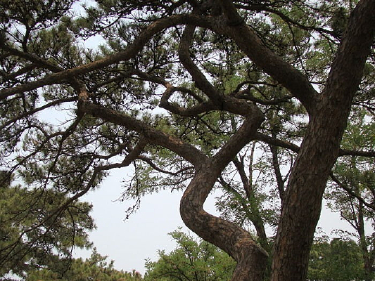 ��������������