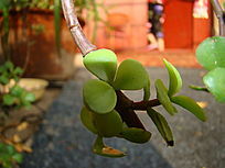 ����¶���µ�������