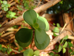 �������������