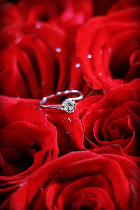 õ�廨�ϵĽ�ָ