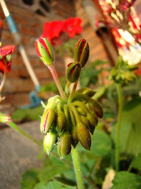 �����Ļ��Ƕ�