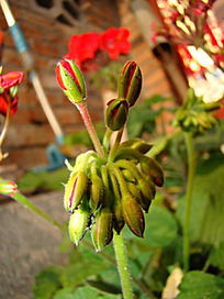 �����Ļ��Ƕ�