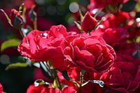 �������¼���