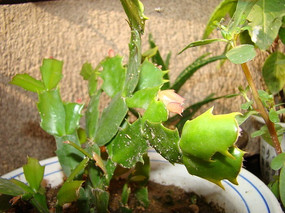 �������������