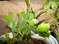 �������������