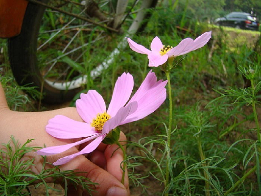 ���л���