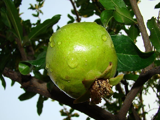 ˮ��ʯ������