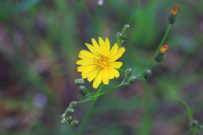 �ݸ��ݻ��估����