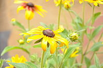 �ʻ�ɫð��ˮ��Ļ�