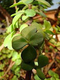 �������������