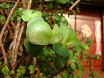 ���������������