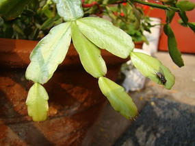 �������������