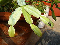 �������������