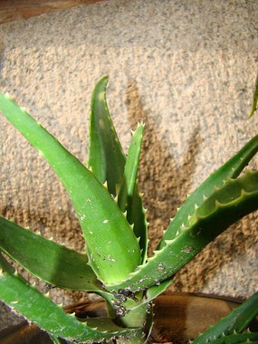 һ��˶���������