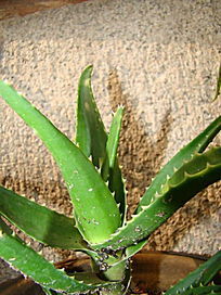 һ��˶���������