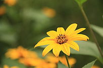 һ֧��ɫ�ջ�