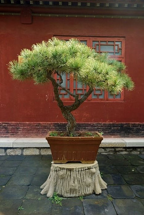 ���ص�����