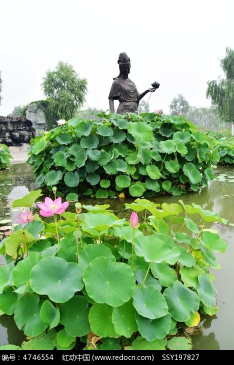 ������ɻ����԰�羰ͼƬ