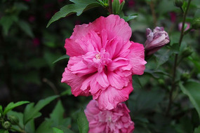 ��ɫ���۵Ļ���