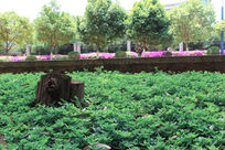 ·�߷ḻ��ʵ�ֲ��