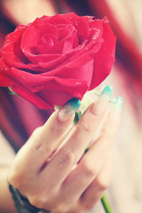 ���ϵĺ�ɫõ��