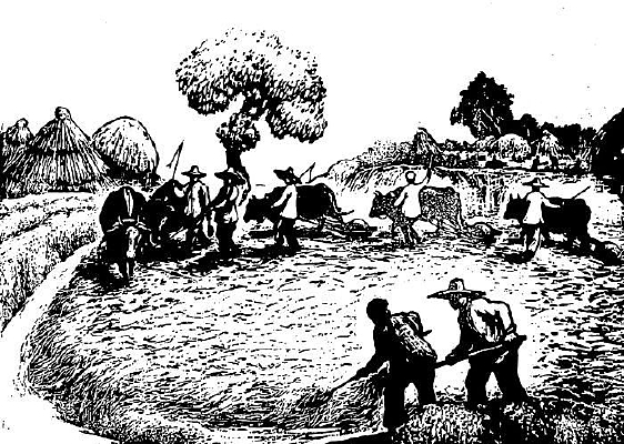 �Ͷ�����滭