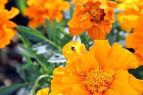 �ʻ��ݳ���ӰͼƬ