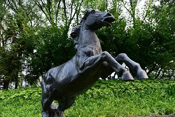 ��������