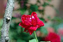 һ���¼���