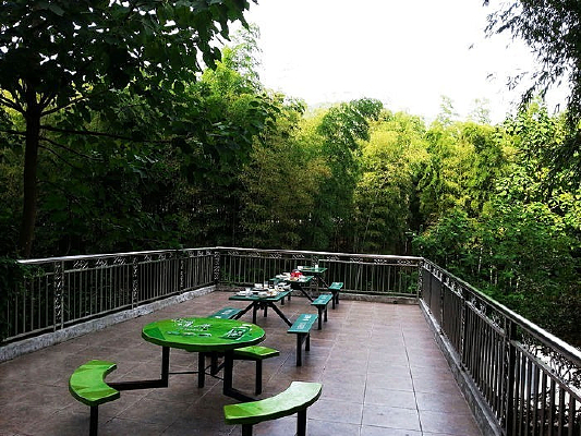 �ľ�����