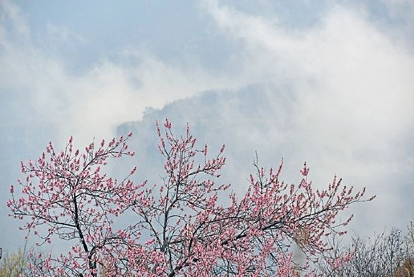 ����ɽ����