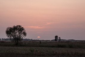 Ϧ����԰���