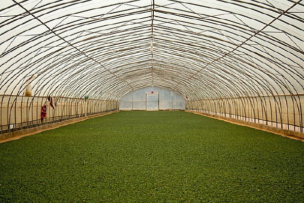 ���߻���ɹ����