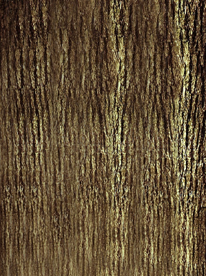 ��Ƥ��������ͼƬ