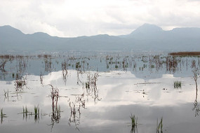 �������Եĺ���