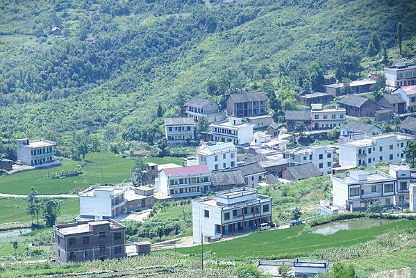 �����岿����