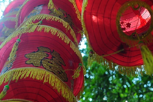 ���ֺ����