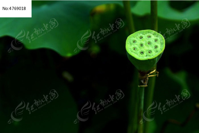 �������̵�����ͷ���ʸд�ͼͼƬ