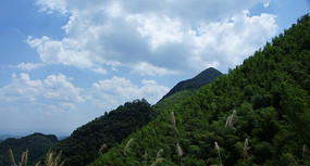 ���������ɽ��